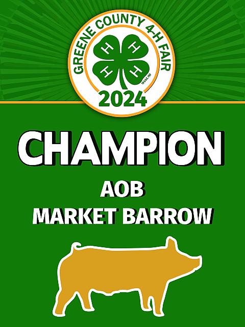 12x16 AOB Market Barrow