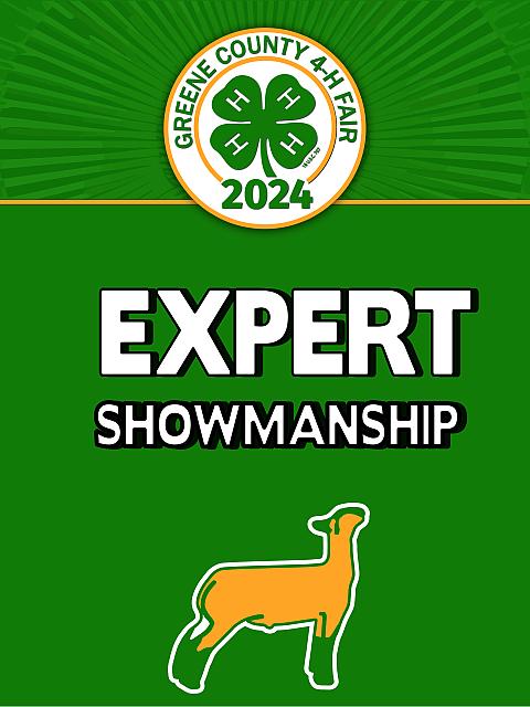 18 X 24 SHEEP EXPERT SHOWMANSHIP