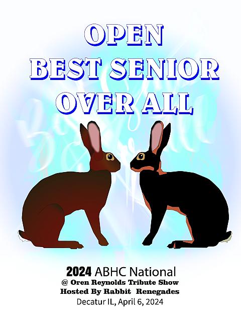 ABHC National OUTLINED Open 18 x 24 Best Sr overall Hare -1