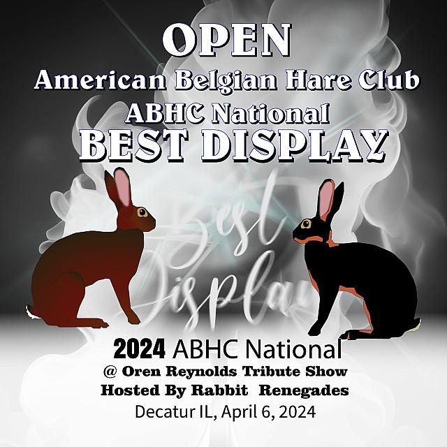 ABHC National OUTLINED open 16 x 16 Best Display-1