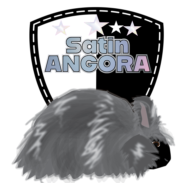 ARBA satin angora 