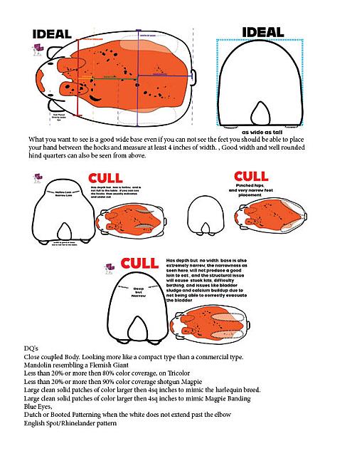 SENITA infoguide3