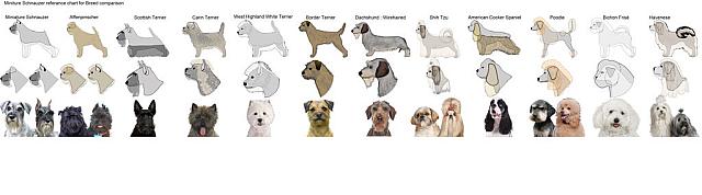 chart by paint27 d5jidis-fullview