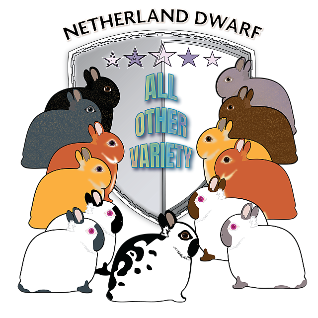 netherland dwarf aLL OTHER VARIETY