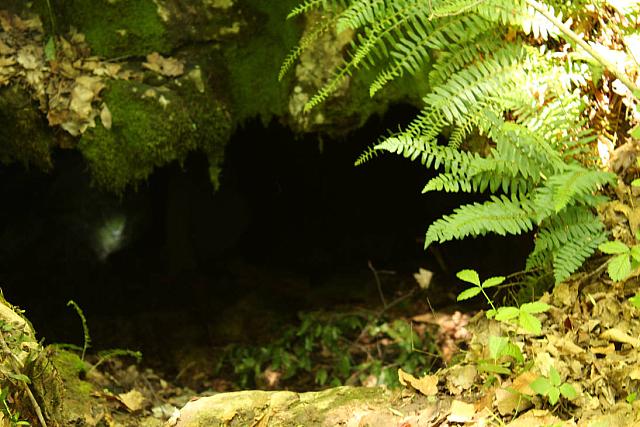 cave in the back yard by paint27 d89fhxb-pre