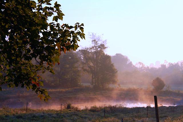 pond by paint27 d829ots-fullview