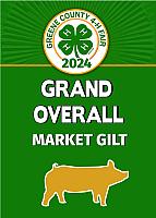 20 x 28 Grand Overall Market Gilt