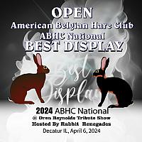 ABHC National OUTLINED open 16 x 16 Best Display-1