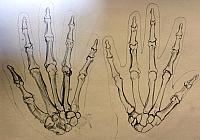 hand studies 001 by paint27 d83kj5s-fullview