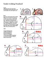 SENITA infoguide2