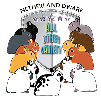 netherland dwarf aLL OTHER VARIETY