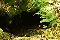 cave in the back yard by paint27 d89fhxb-pre