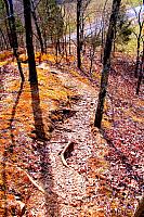 trails at lake monroe in by paint27 d89fou8-414w-2x
